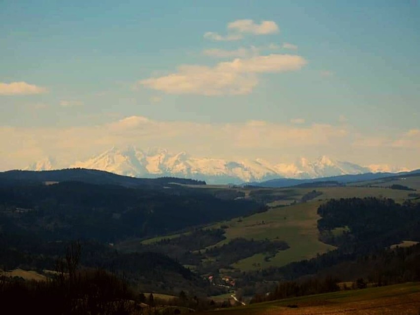 Widok na Tatry z żegiestowskiej Palenicy