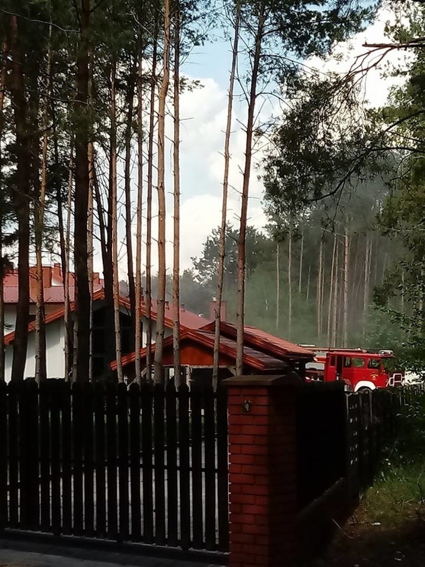 Pożar w domu weselnym w Stefanowie w gminie Poświętne [ZDJĘCIA]