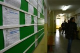 Gdański Urząd Pracy rozpoczyna nabór do programu stażowego. Okazja dla pracodawców i młodych stażystów