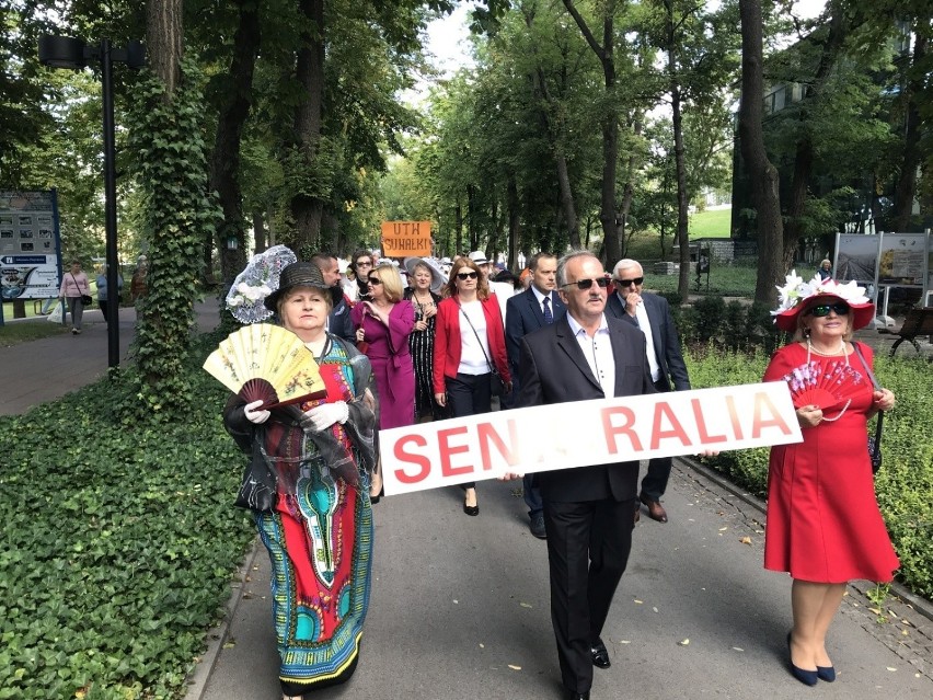 Seniorzy świętują w Busku-Zdroju. Niezwykły marsz kapeluszowy - ale to było widowisko! (ZDJĘCIA)