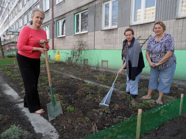 Stanisława Waligóra, Anna Ptak i Irena Słowik dbają o swoje ogródki przy bloku nr 10 na os. Powstańców Śląskich