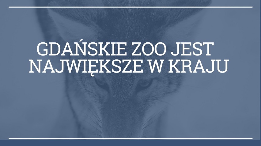 Ciekawostki o Pomorzu, które Cię zaskoczą! Co Wejherowo ma wspólnego z Jerozolimą i w której wiosce mieszka 98% Kaszubów