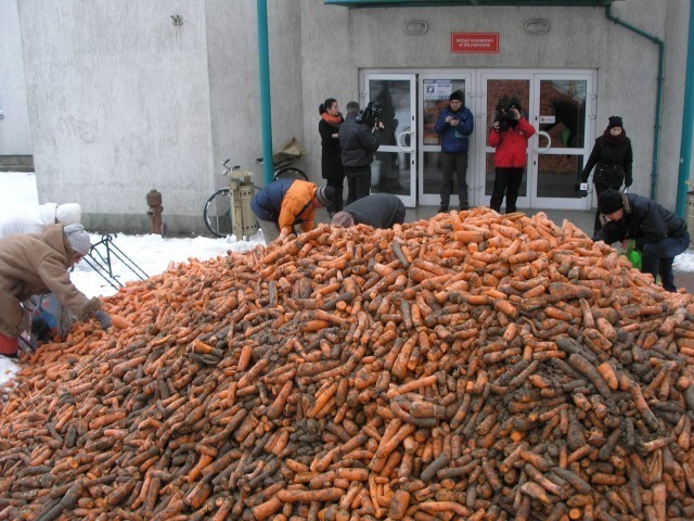 Protest grupy rolnej pod skarbówką w Wejherowie - przed drzwiami wylądowały tony marchwi [ZDJĘCIA]