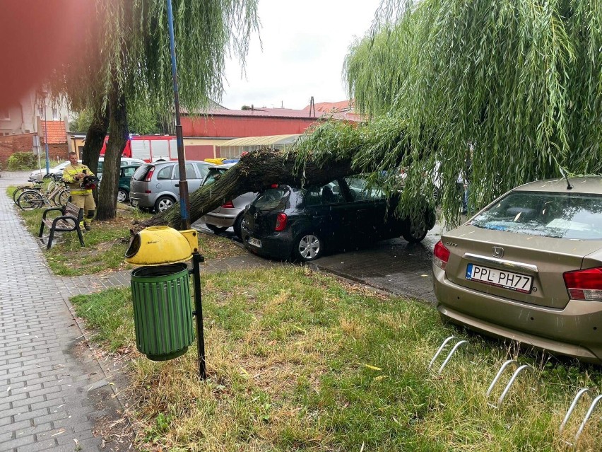 Drzewo przewróciło się na samochód w Pleszewie! Na szczęście...
