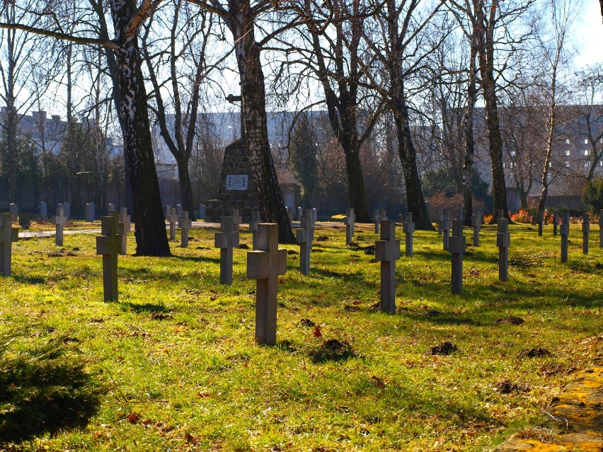 Międzynarodowy cmentarz wojenny