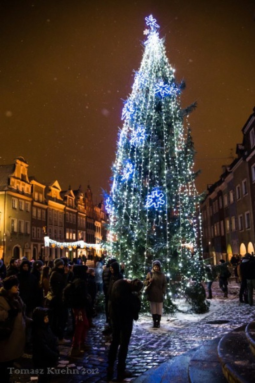 Świąteczne drzewka stanęły już w wielu polskich miastach,...