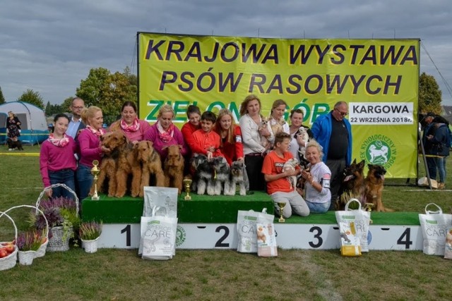 W sobotę, 22 września, na boisku sportowym w Kargowej, odbyła się XLI Krajowa Wystawa Psów Rasowych organizowana przez Związek Kynologiczny w Polsce (oddział Zielona Góra), który działa na terenie kraju już od 1938 roku.  Sobotnia wystawa miała charakter otwarty, a wstęp był  bezpłatny. Wystawa została otwarta o godz. 10.00, przez następne godziny trwała ocena psów na ringach. Wyłoniono m. in. najpiękniejsze młodsze szczenię, juniora, weterana, najpiękniejszą parę, czy też najpiękniejszego psa wystawy. 


