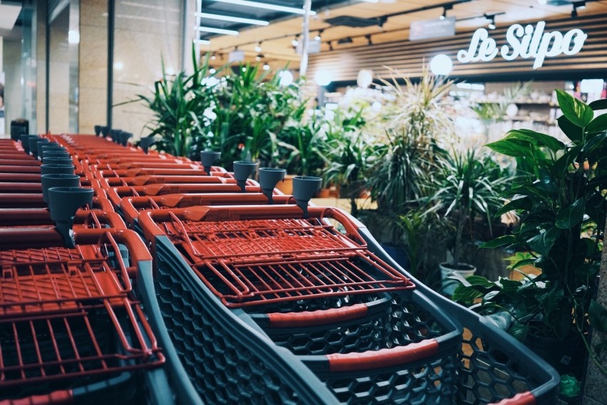 W wielu supermarketach są sprzedawane rośliny doniczkowe i...