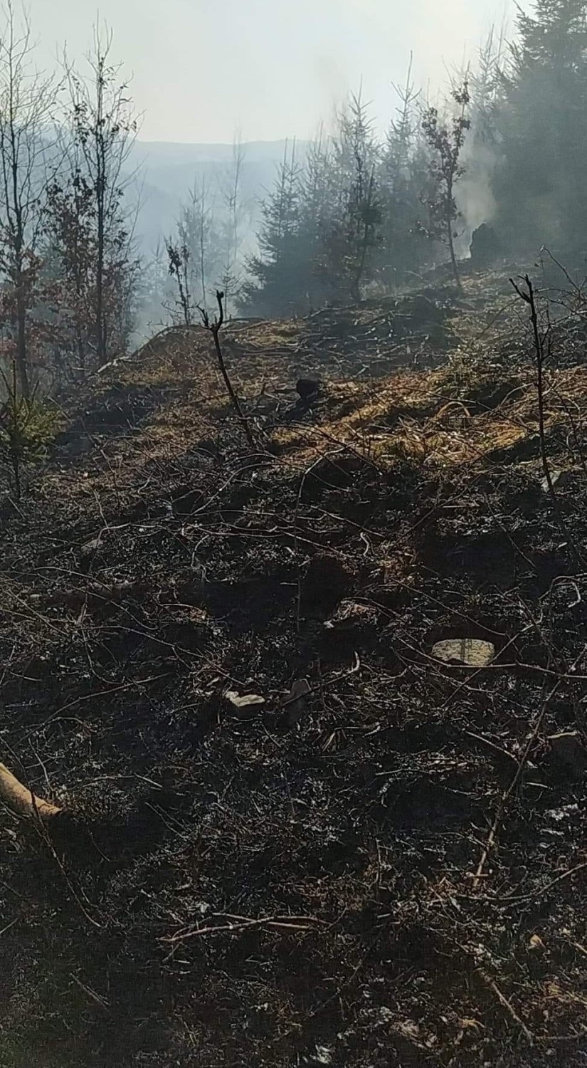 Paliła się tzw. „Kotrysia Polana” w rejonie ul. Letniskowej...