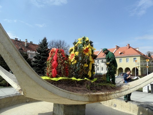 W Wodzisławiu sadzą kwiaty [ZDJĘCIA]