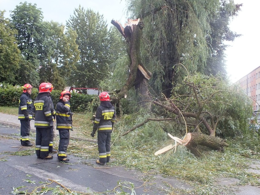 Nawałnica w Jastrzębiu: wichura powaliła drzewa. Na...