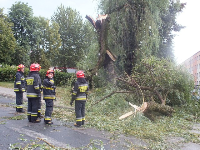 Nawałnica w Jastrzębiu: wichura powaliła drzewa. Na szczęście nikomu nic się nie stało.