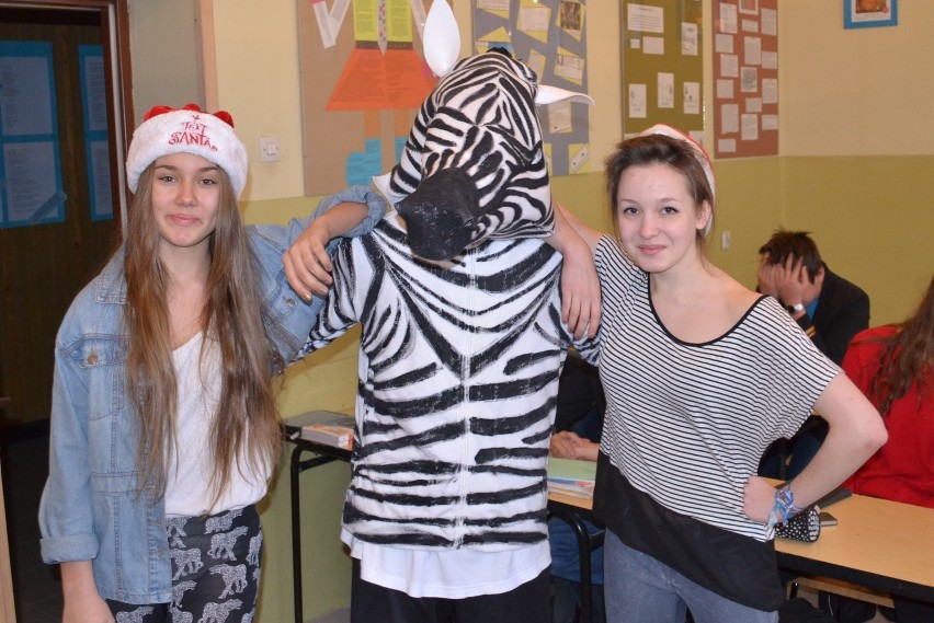 Zebra w "Staszicu". Uczniowie będą się opiekować zwierzęciem z ZOO [ZDJĘCIA]