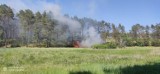 Pożar lasu w Gołuniu w gm. Kościerzyna. Do akcji skierowano 20 zastępów straży pożarnej [ZDJĘCIA]