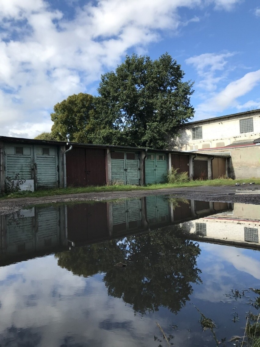 Zaniedbane i zalewane podwórko przy ulicy Staszica w Słupsku