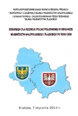 Jak rozwinie się Polska Południowa do 2020 roku?