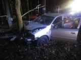 Wypadek w Kiszewie. Samochód zderzył się z dzikami
