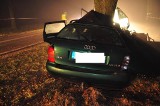 Wola Żółkiewka: Audi uderzyło w drzewo 32-letni kierowca zginął na miejscu