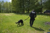 Policyjne psy odnalazły poszukiwe 7- latki