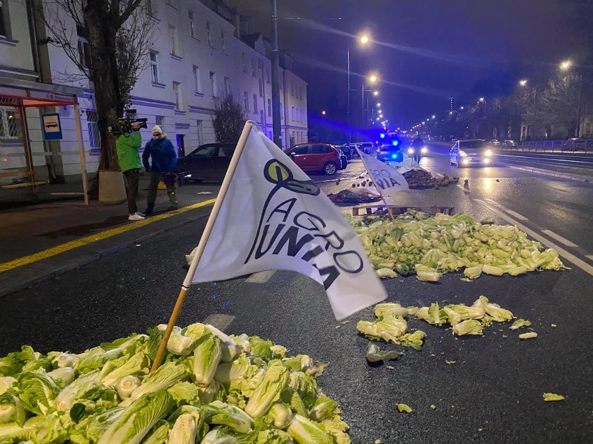 Protest rolników pod domem Kaczyńskiego. Martwa świnia, wysypane ziemniaki i kapusta