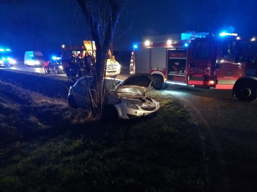 Wypadek w Szadkowicach. Pod auta wyskoczył jeleń [zdjęcia]