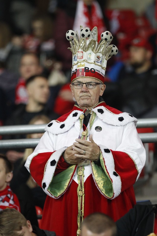 Fantastyczni kibice na meczu Polska - Senegal