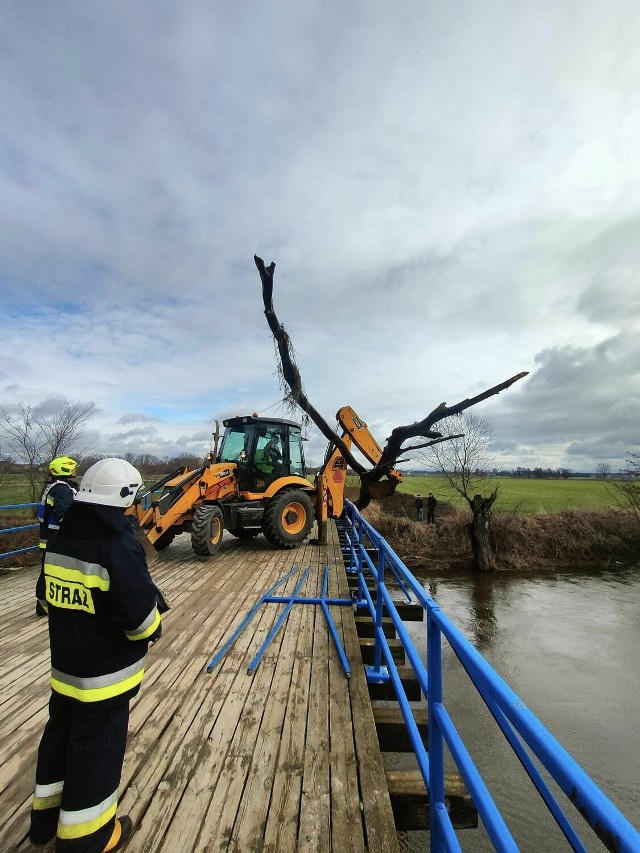 Konar drzewa, który ustawił się w poprzek tuż przy moście, spowodował zator na Prośnie w Rudzie Wieczyńskiej. Dzięki koparce udostępnionej przez Zakład Komunalny w Gizałkach udało się go wyciągnąć z wody