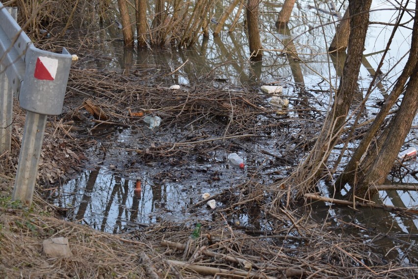 Jezioro Solińskie stało się wysypiskiem śmieci