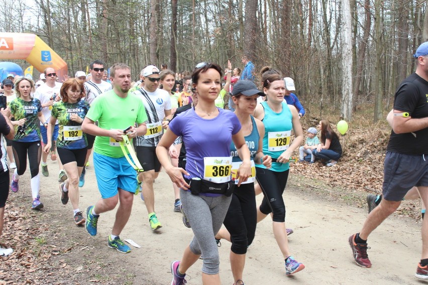 400 biegaczy rywalizowało w Puszcza Run w Chrzanowie