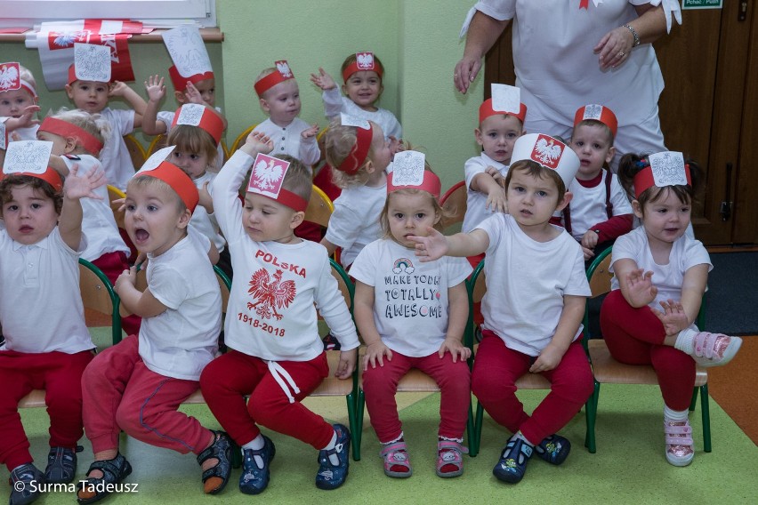 Fantastyczne patriotyczne maluszki ze Żłobka Miejskiego "Leśna Polana" w Stargardzie [ZDJĘCIA, WIDEO]