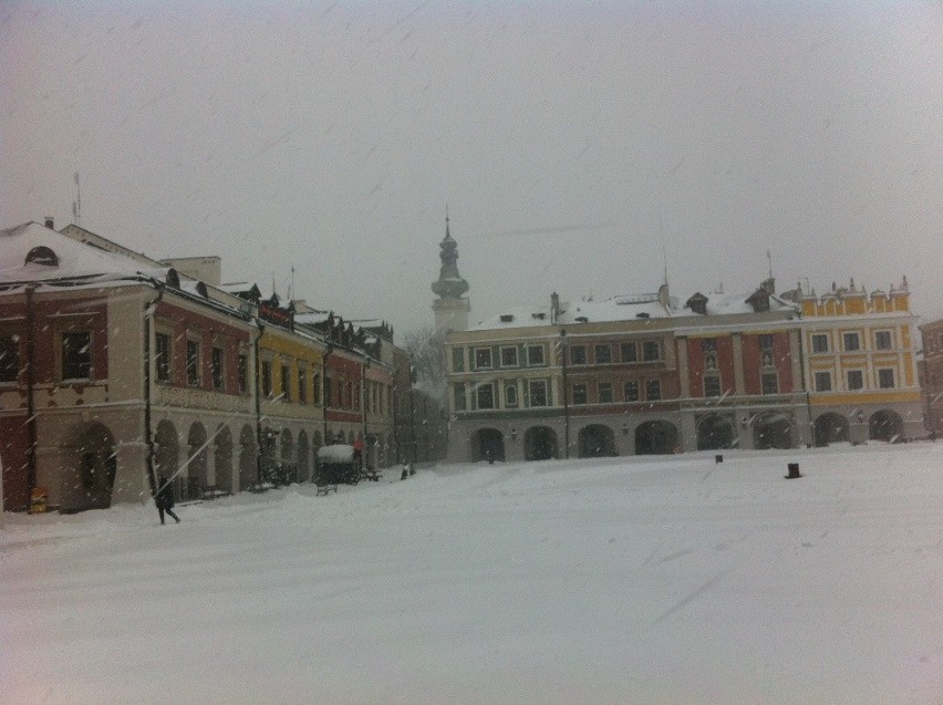 Zamość i region: Zima wróciła, ale najgorsze już za nami. ZDJĘCIA, RELACJA