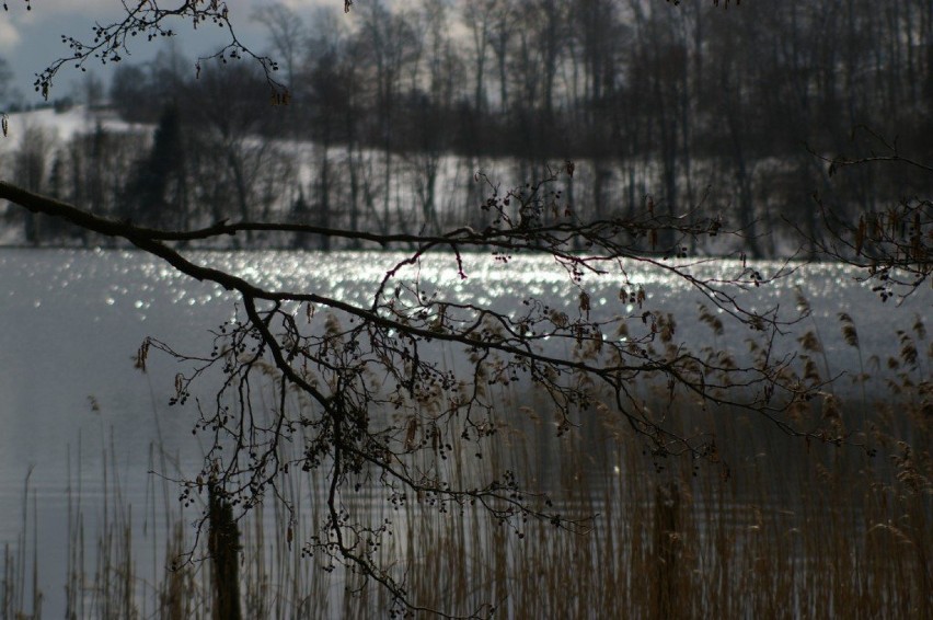 Jezioro nie zamarzło... Fot. Piotr May