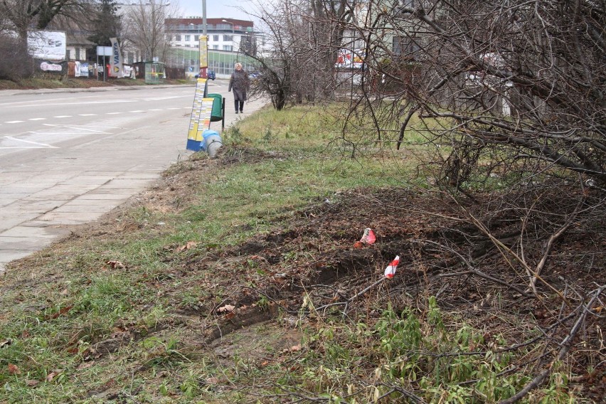 Miejski autobus miał w środowy poranek kolizję na ulicy...