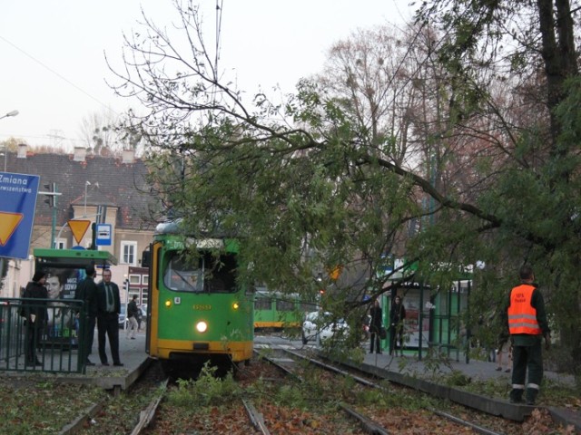 Z powodu oberwanej gałęzi, która zablokowała torowisko, tramwaje ...
