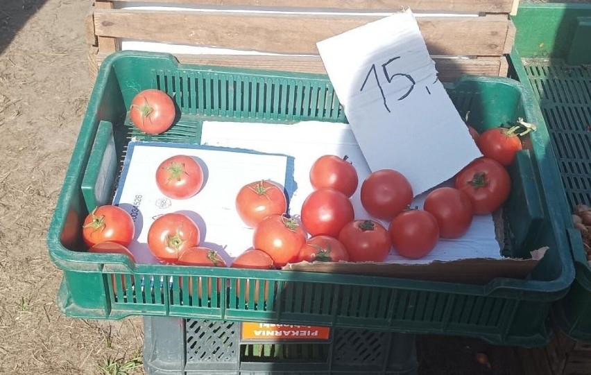 Pomidory - 15 złł/kg