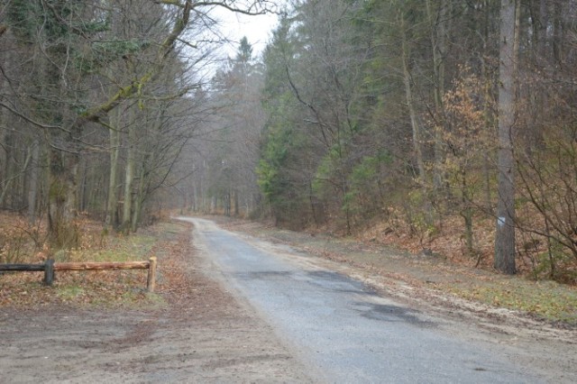 Budowa drogi z Wejherowa do Sławutowa. Na zdjęciach obecny wygląd trasy