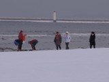 Plaża w Świnoujściu - kiedy jest najpiękniejsza? Obejrzyjcie i oceńcie sami [ZDJĘCIA]