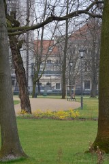 Ogród Krasińskich: zobacz wiosenny ogród z przewodnikiem