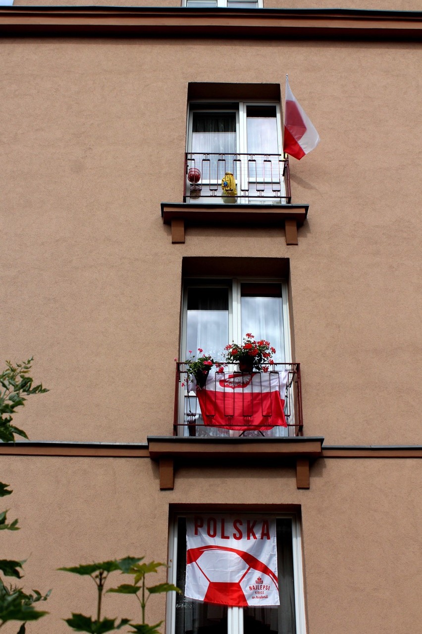 Zielonogórscy kibice podczas meczu Polska: Ukraina.