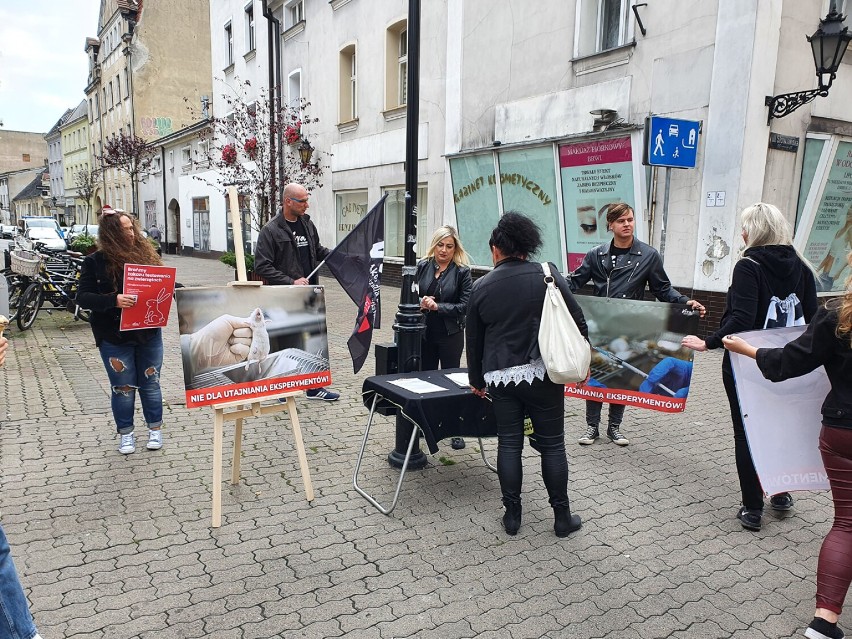 Leszno. Aktywiści protestowali przeciwko eksperymentom na zwierzętach i planowanym zmianom przepisów [ZDJĘCIA]