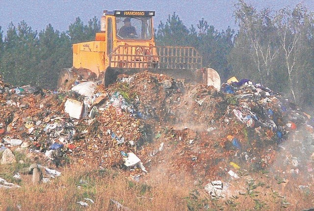 Odbiór 120 litrów śmieci i przewiezienie ich na miejskie składowisko kosztuje w Łowiczu od 8,5 do 14,65 zł