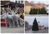 Białystok coraz piękniejszy na święta! Wkrótce rozbłysną choinkowe lampki i rozpocznie się bożonarodzeniowy jarmark (ZDJĘCIA)