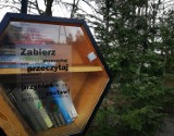 Miedzichowo. Biblioteka przypomina o książkach na półkach plenerowych