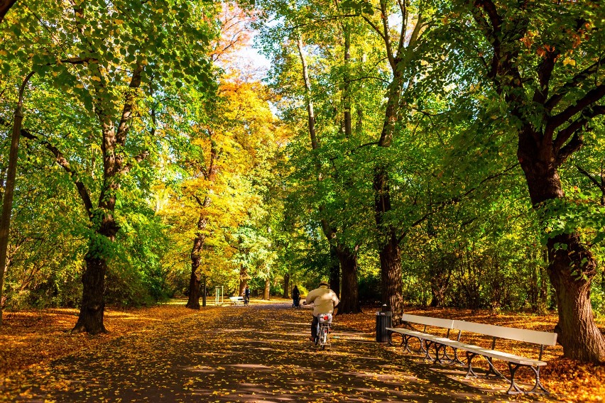 Park Skaryszewski zachwyca jesienią