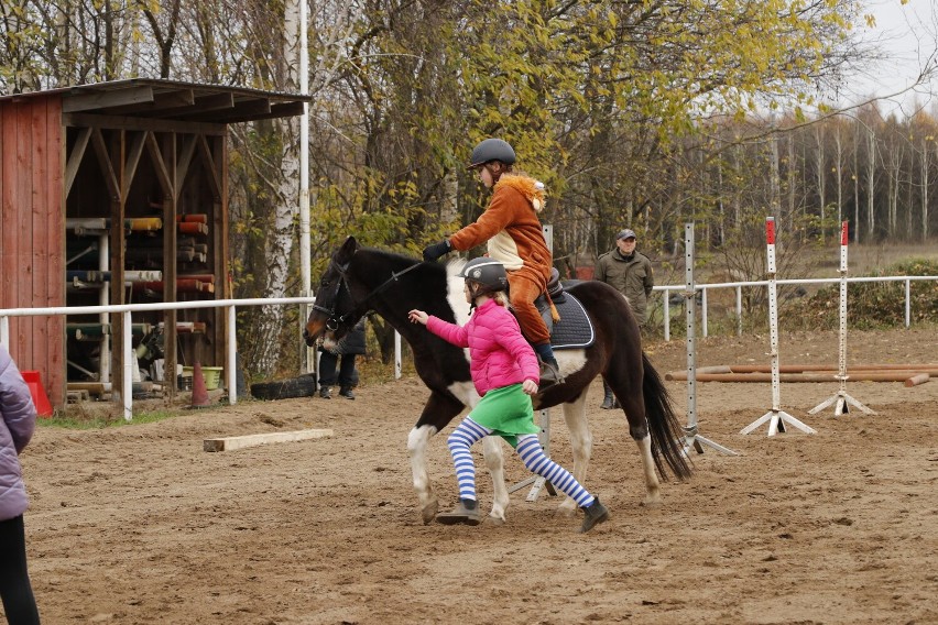 Halloween wśród koni w Stajni Anielin - odsłona I. Zabawy na koniach Pony Games dla najmłodszych jeźdźców 