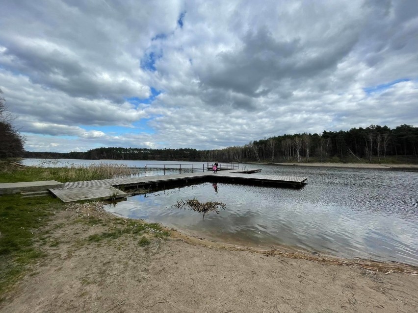 Jezioro Ciborze ma powierzchnię 36,6 ha, wędkarze łowią w...