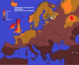 Kujawsko-Pomorskie to oaza rudzielców. Na europejskiej mapie jesteśmy małą Irlandią