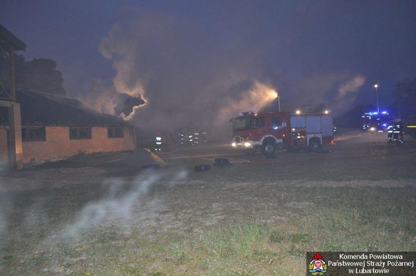 Pożar stajni w Starej Jedlance