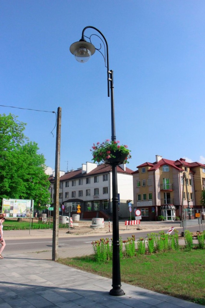 Ukwiecona Dąbrowa Białostocka. Miasto pełne kwitnących roślin jest nie do poznania 
