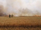 Ogromny pożar w Sycowie. Ogień strawił 27 hektarów zboża i ścierniska